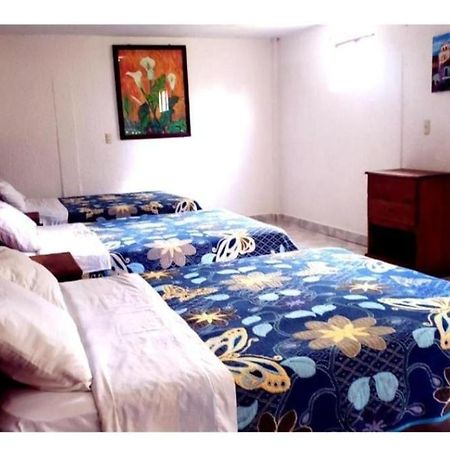 Hotel Alejandra San Felipe  Екстер'єр фото